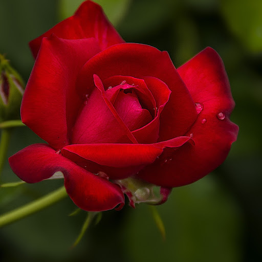 Hd-180215-ascw180215