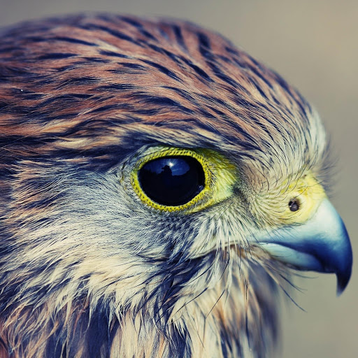 Hd-156967-ascw156967