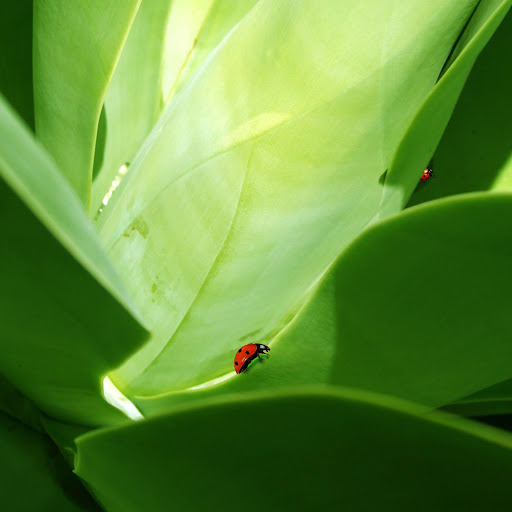 Hd-133047-ascw133047