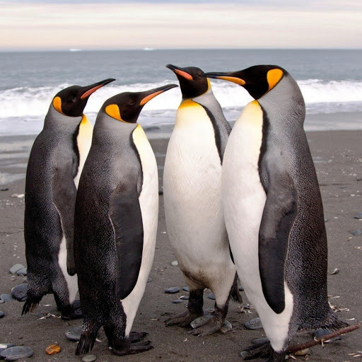 Hd-161722-ascw161722