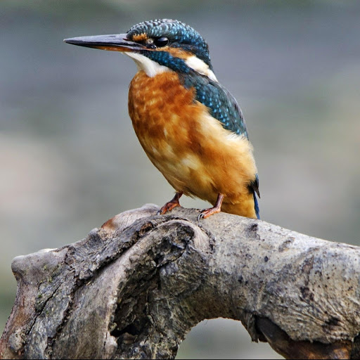 Hd-178534-ascw178534