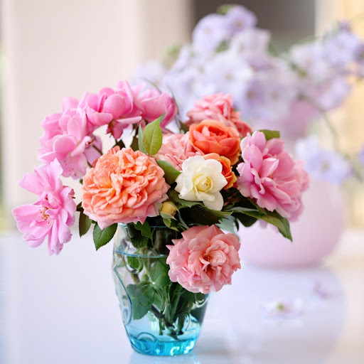 Hd-166738-ascw166738