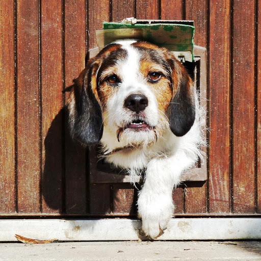 Hd-161811-ascw161811