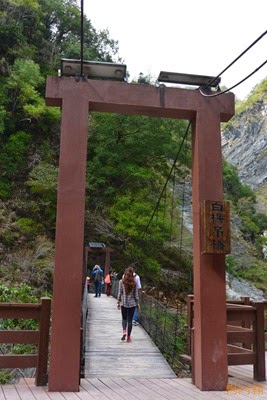 0222 221  - 白楊步道和瀑布