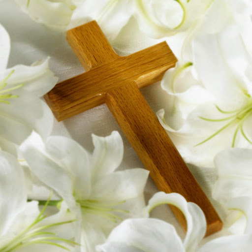 Hd-146785-ascw146785