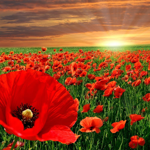 Hd-140450-ascw140450