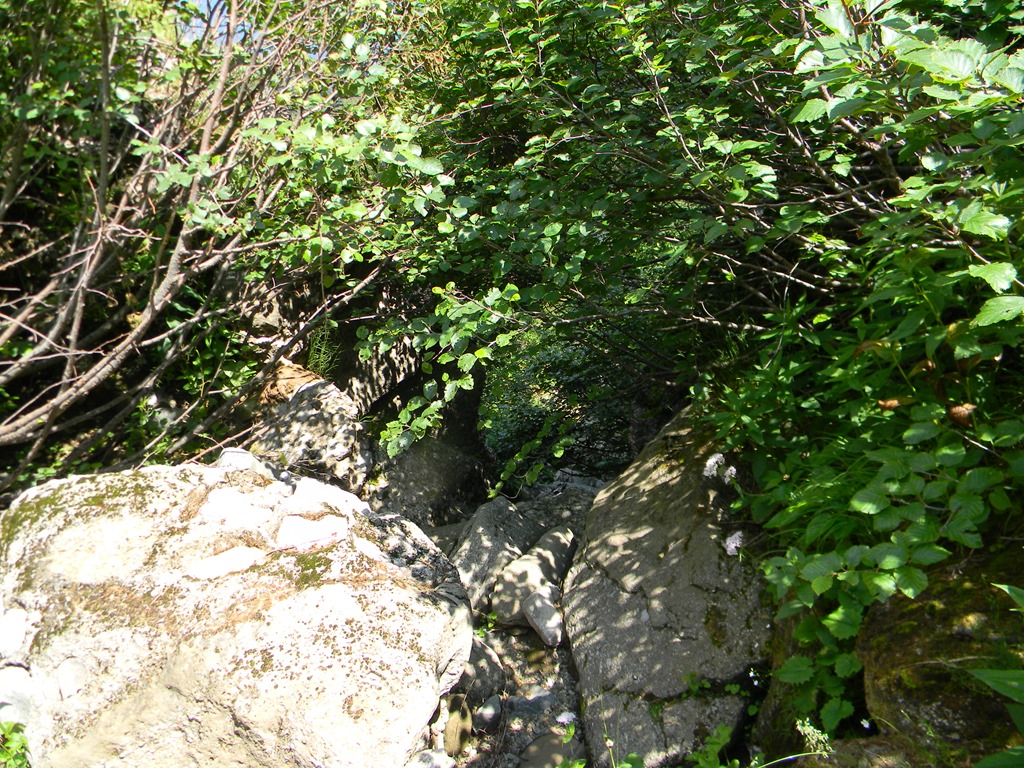 [DSCN34713.jpg]