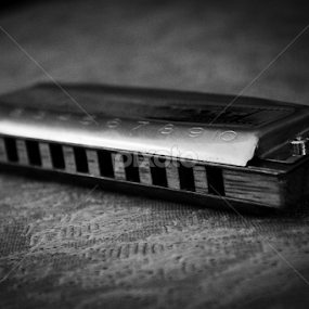 Blues Harp by Dallas Landriault - Artistic Objects Musical Instruments