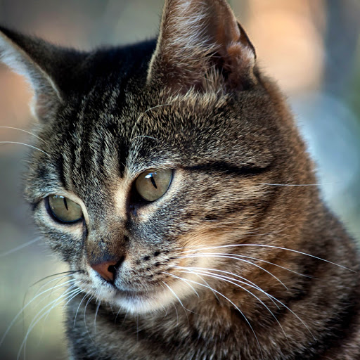 Hd-151789-ascw151789