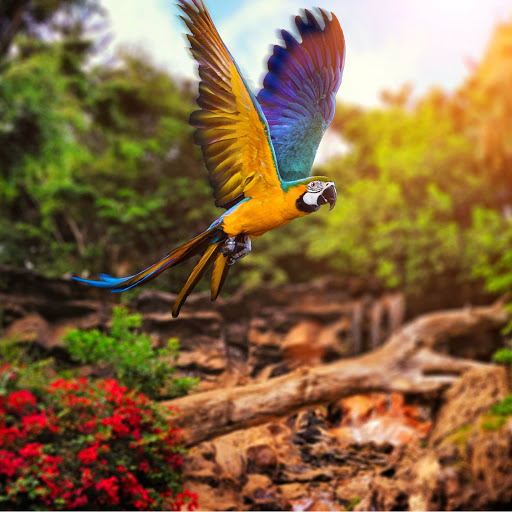 Hd-183753-ascw183753