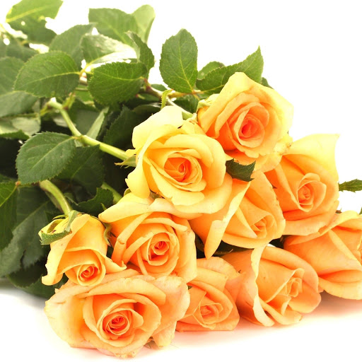 Hd-178383-ascw178383