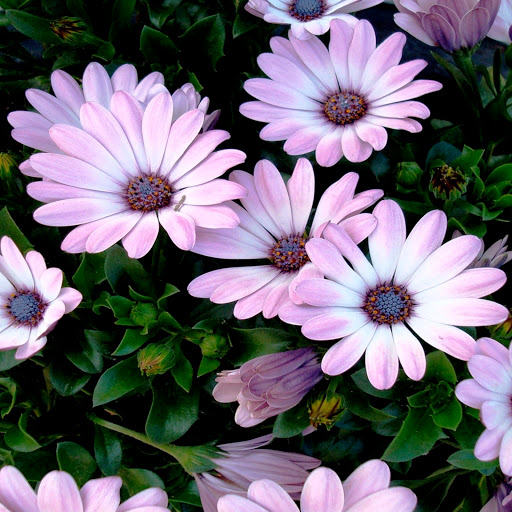 Hd-147299-ascw147299