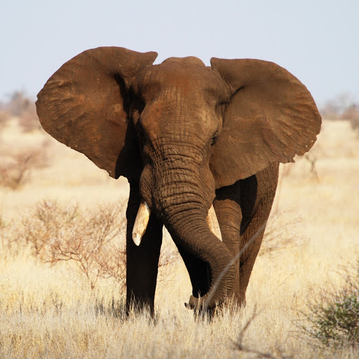 Hd-183946-ascw183946