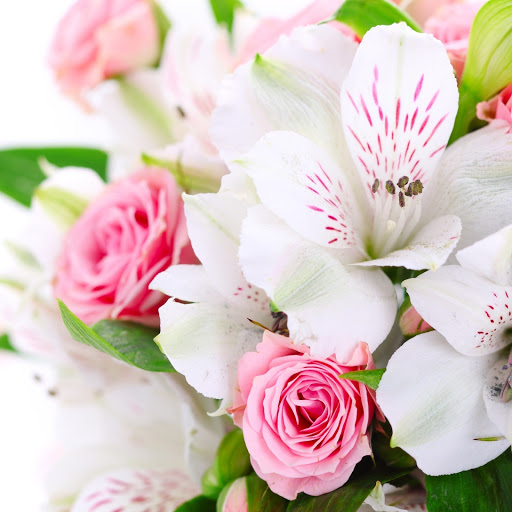 Hd-141296-ascw141296