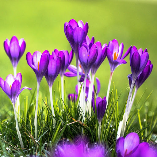 Hd-147534-ascw147534