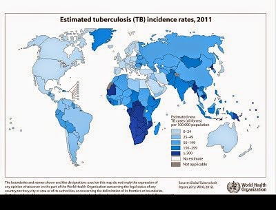 [tuberculosis_incidence_global_20113.jpg]