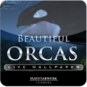 Orca Whale  live wallpaper logo