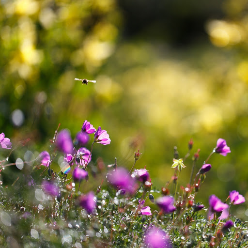 Hd-142226-ascw142226