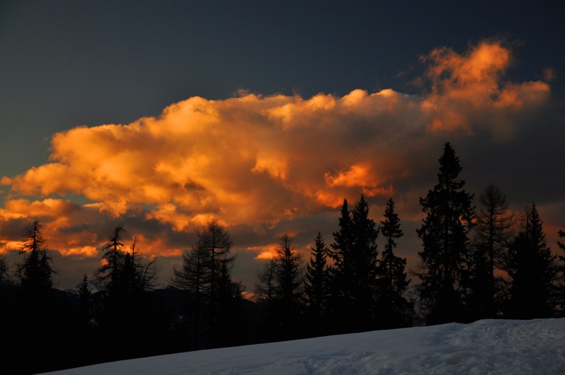 DSC_8287.JPG DSC 8287