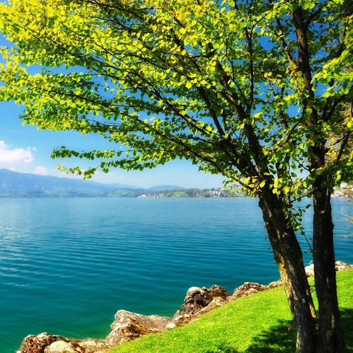 Hd-142074-ascw142074