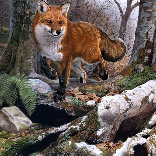 Hd-180075-ascw180075