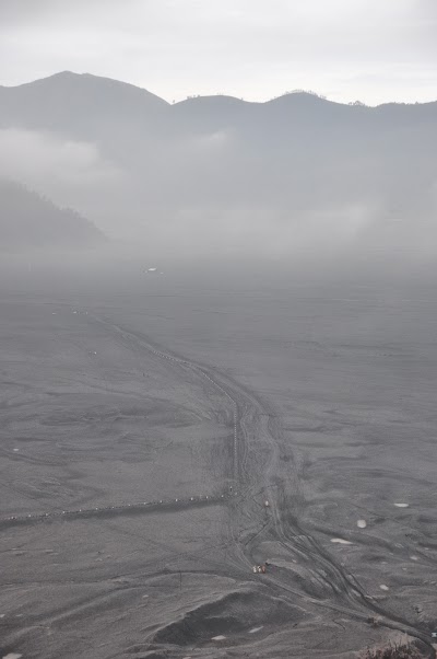 DSC_0473.jpg
