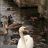 Geocaching Müggelberge Nov. 08