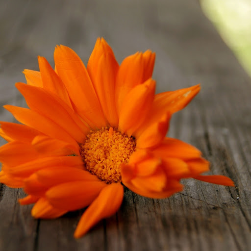 Hd-162574-ascw162574