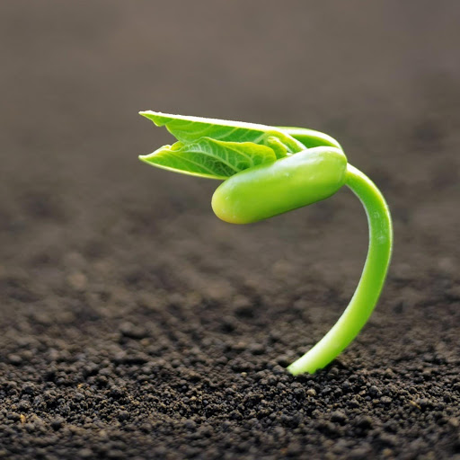 Hd-145687-ascw145687