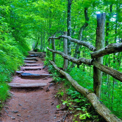 Hd-154822-ascw154822