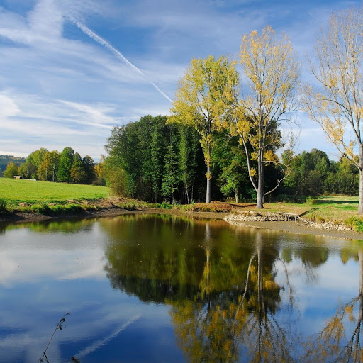 Hd-135646-ascw135646