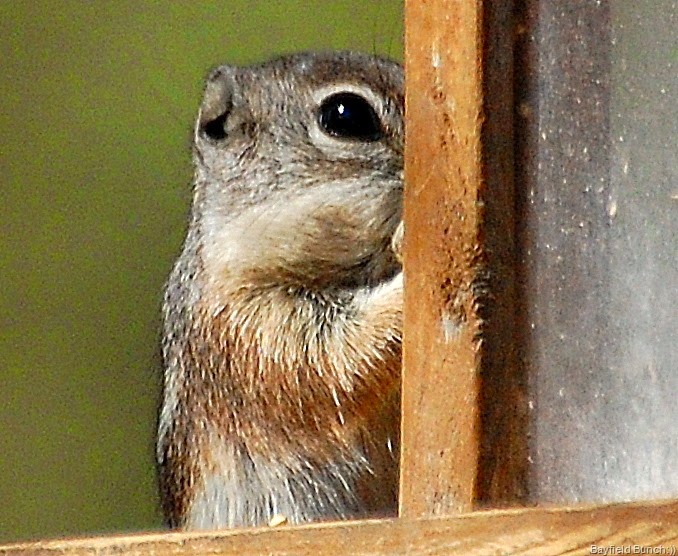 [DSC_1752%255B4%255D.jpg]