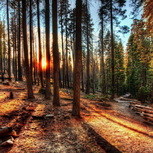 Hd-156421-ascw156421