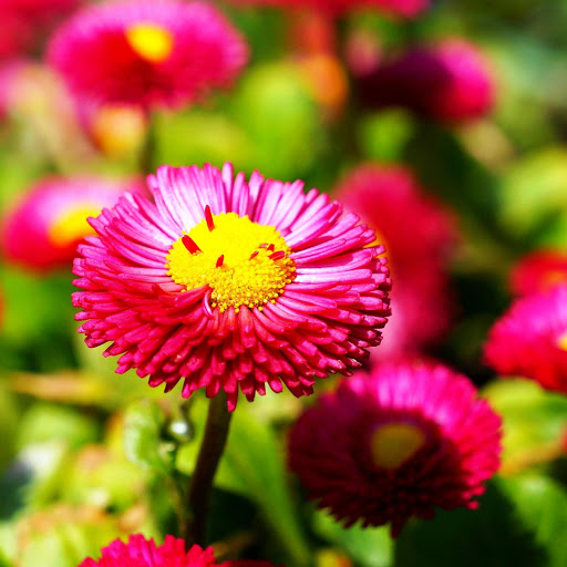 Hd-168231-ascw168231