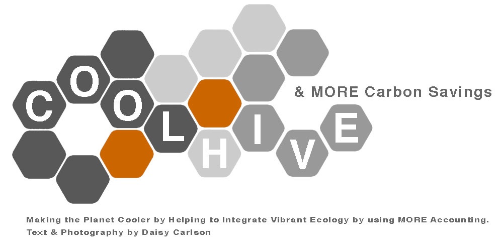 Cool HIVE & MORE Carbon Savings