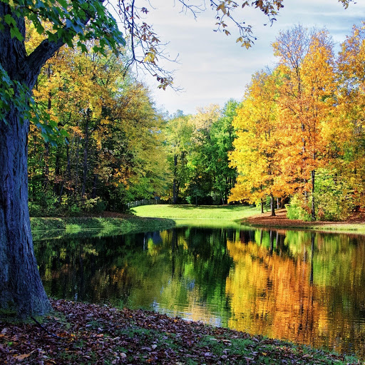 Hd-155810-ascw155810