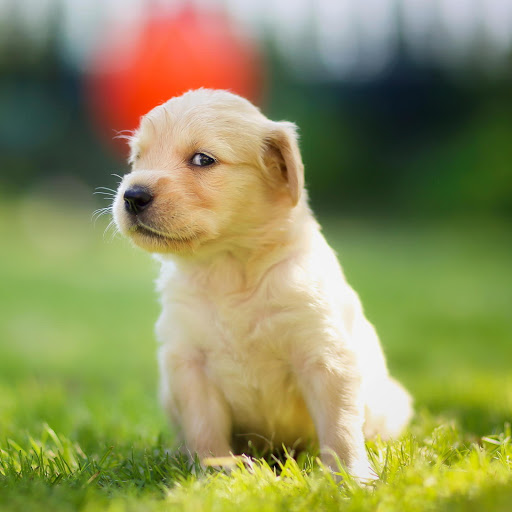 Hd-158959-ascw158959