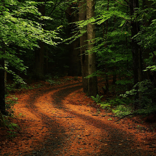 Hd-144101-ascw144101