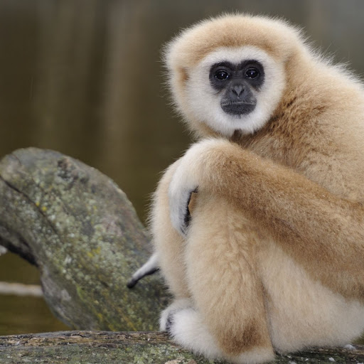 Hd-142899-ascw142899