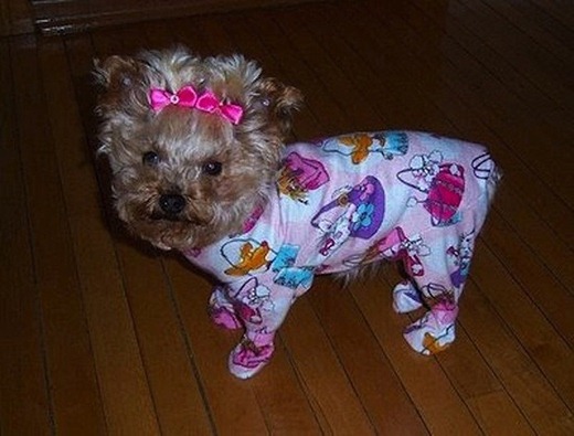 [clip_image010%255B4%255D.jpg]