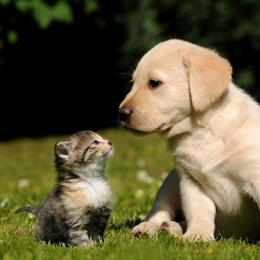 Hd-160869-ascw160869