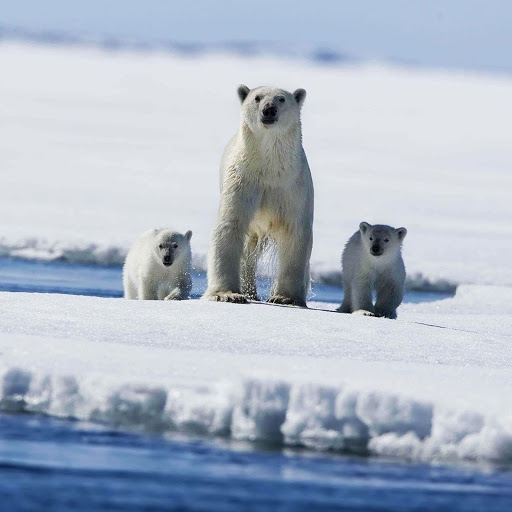 Hd-156795-ascw156795