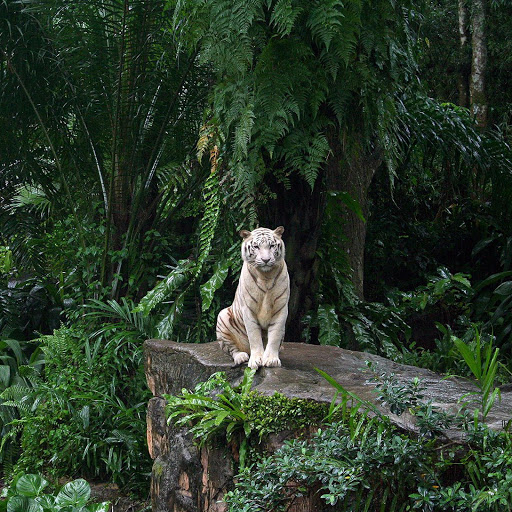 Hd-140824-ascw140824