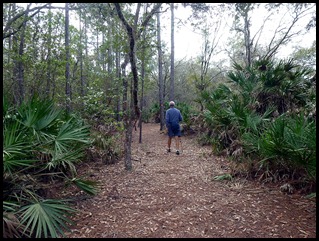 05 - Natural Trail