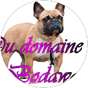 Image Google de Natacha du domaine de bodaway