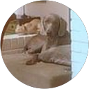 Image Google de Nathalie My