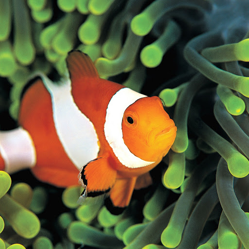 Hd-168368-ascw168368