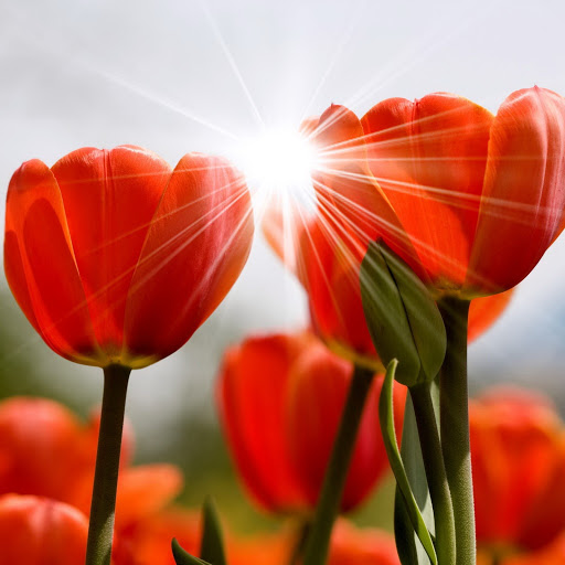 Hd-150955-ascw150955