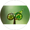 Eva G del Pino profile picture