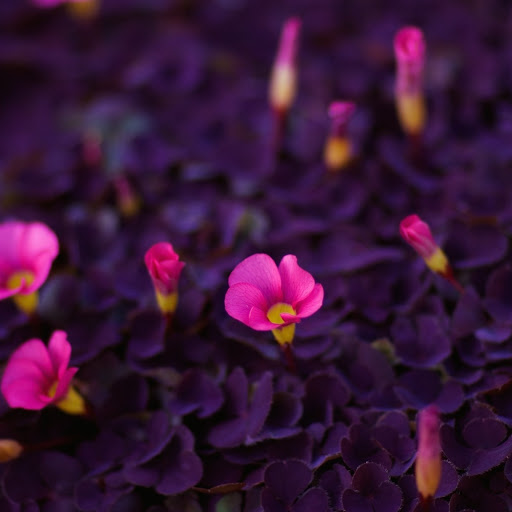 Hd-157807-ascw157807